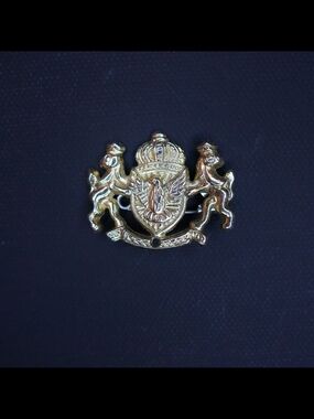 Vintage Royal Crest Crown Brooch Gold Tone Heraldic Coat of Arms Pin Rare HTF